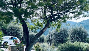 La Tenuta dei Fiori - Photo 3