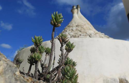 Trullo Felice - Photo 18