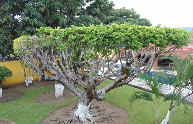 La Quinta de Alito - Foto 29