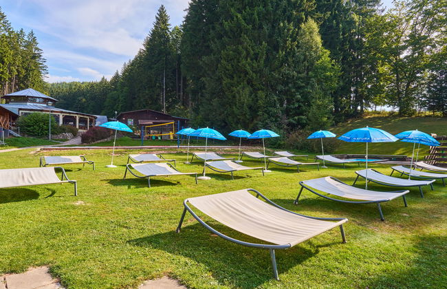 Luxe Timber Lodge & Pet Retreat - Photo 57