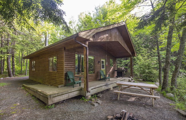 Mersey River Chalets a nature retreat - Foto 44