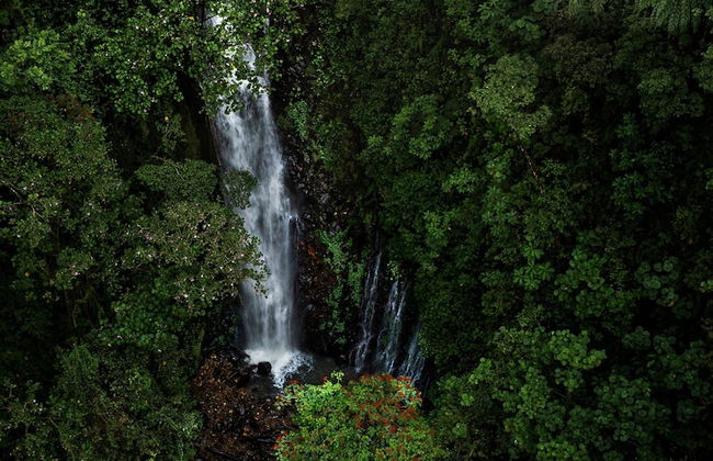 El Tigre Hideaway - Photo 50