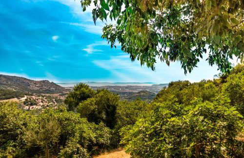 Villa O'Zrna - Foto 50