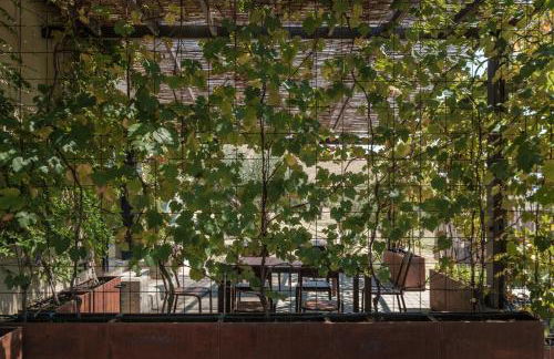 Podere San Pasquale - La Vigna - Foto 21