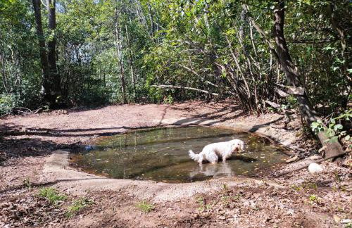 Casetta Olivetta - Foto 17