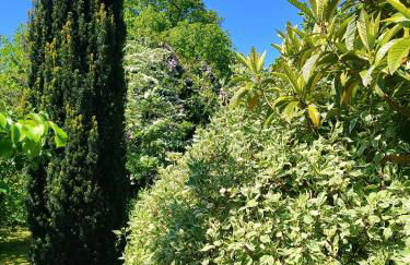 La Tonnelle - Foto 45