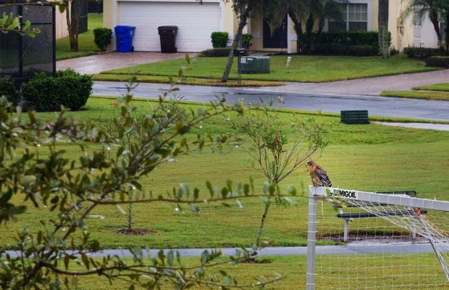 Ip60382 - Fiesta Key - 4 Bed 3.5 Baths Townhome - Foto 11