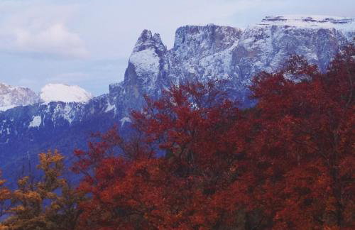 Aschnerhof Auf´m Egg - Photo 43