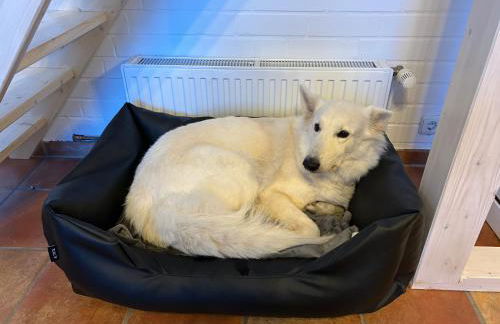 Direkt am See mit privatem Sandstrand - Foto 7