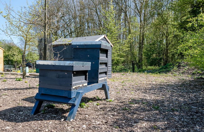 Honeysuckle Farm Hut 7 - Suffolk Farm Holidays - Foto 14