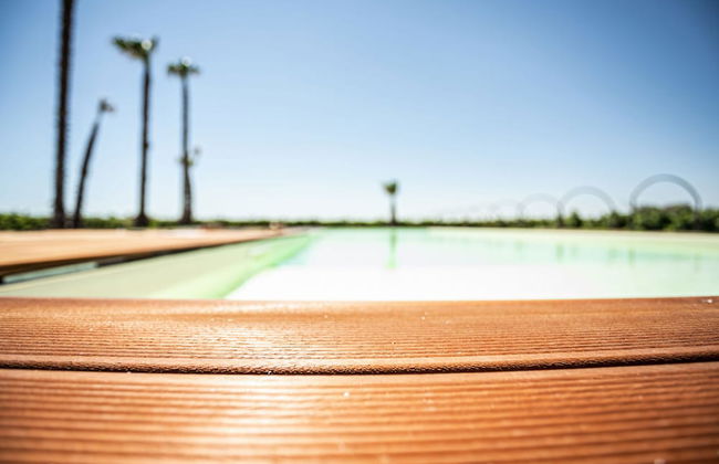 Masseria Torleanzi - Wine Relais - Photo 21