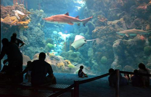 Serene Tiny House Retreat in Japanese Garden - Foto 39