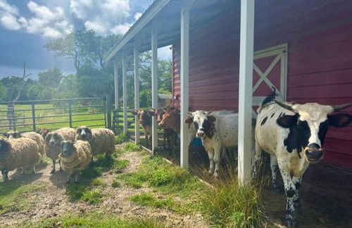 Tranquil Modern Farm Cabin - Foto 33