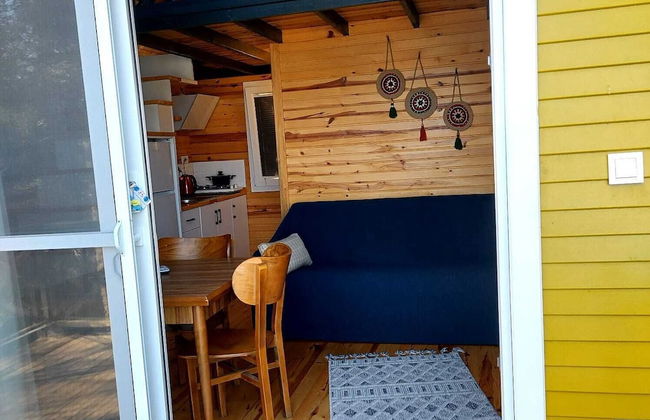 Sole Foca ( Ages 12+ ) - Foto 35