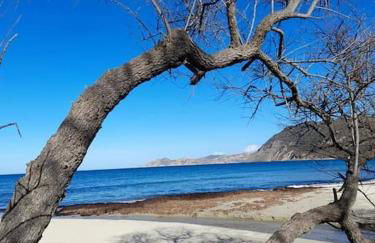 Charmant petit logement à 3 kms de la plage - Foto 18
