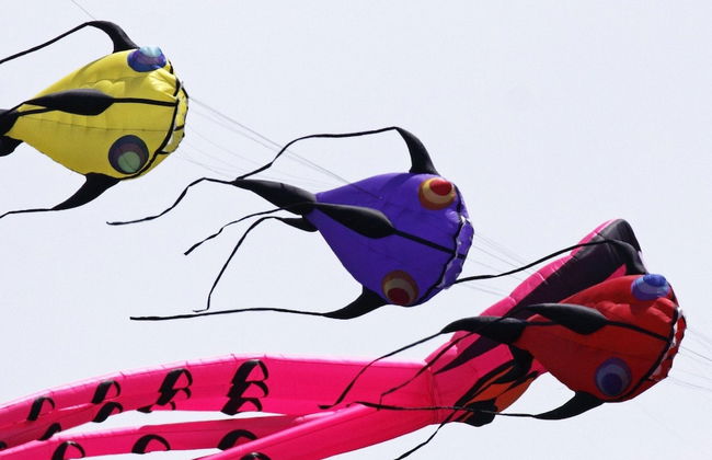 Charming Cottage, Dieppe, Alabaster Coast - Foto 24