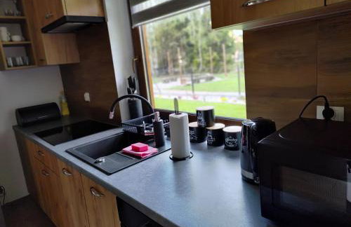 Bieszczadzka Ostoja - całoroczne domy na wynajem w Kalnicy - Foto 57