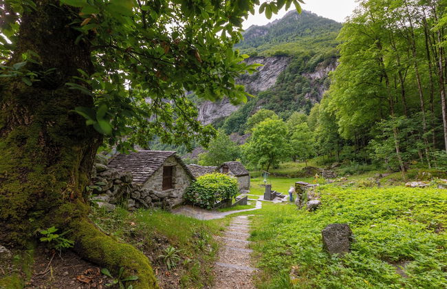 Garden on the lake 2 - Foto 14