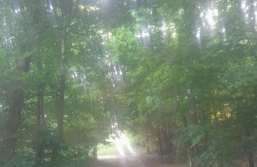 ,,Dom Na Skarpie'' z jacuzzi, sauną i basenem letnim - Foto 42