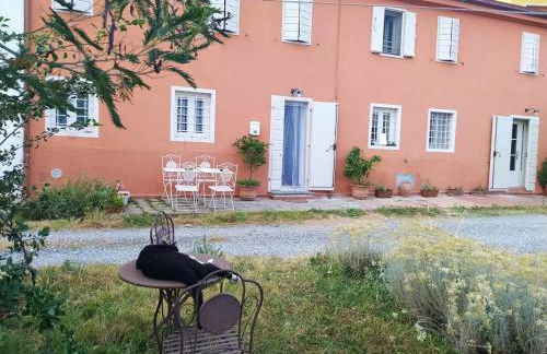 Casa di Corte L' Elicriso - Foto 2