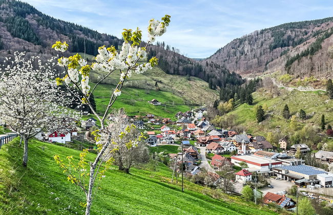 Sonnenblick II - Foto 48