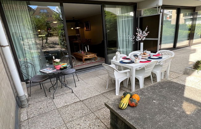 Ster Der Zee On Sea Shore - Foto 1