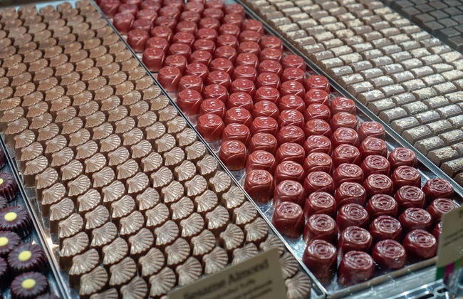 Puffing Billy & Healesville Sanctuary Day Trip - Photo 5