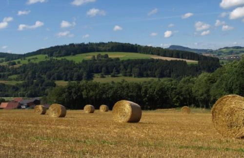 Ferienhaus Birx - Foto 57