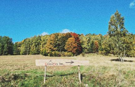Czereśniowy Dom - Foto 44