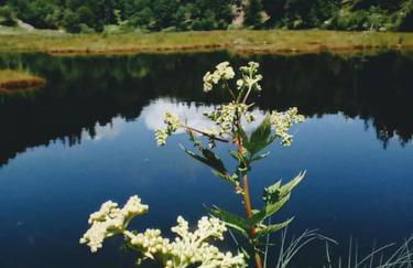 Ferienwohnung Hirschkopf - Foto 43