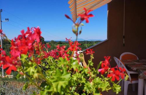 Apartman Luna - Foto 25