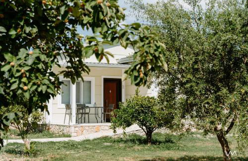 Oikies Verde - Foto 50