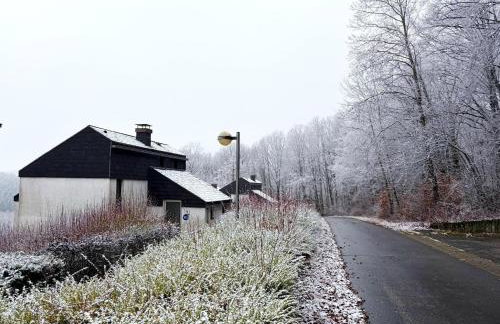 Family holiday home in Hambachtal Holiday Park - Foto 52