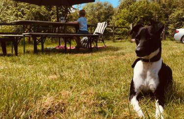 Yew Tree Farm Lodge - Photo 16