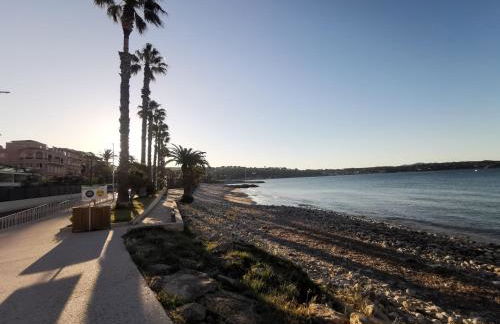 OFDL B T1 BANDOL - Briotine Foyalais - Foto 26