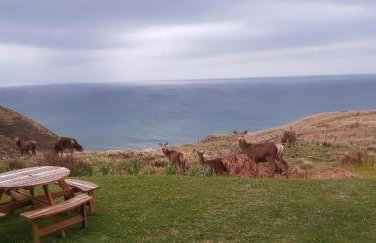 Shiskine Pod - Foto 19