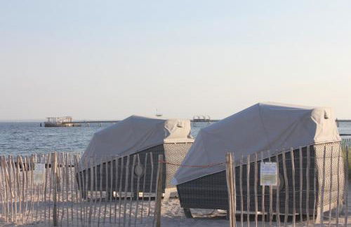 Silbermöwe im Kirschgarten - Foto 27