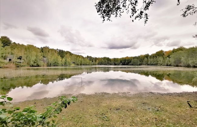 Adventure in Nature Tree Loft for 4 People 2 - Foto 13