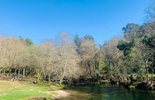 Oliveira's Little House - Foto 11