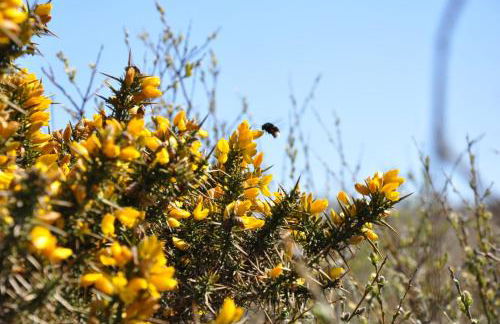 Seevilla Wietjes Whg 3 - Foto 13