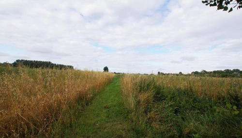 Cozy cottage overlooking fields, Upwell - Photo 4