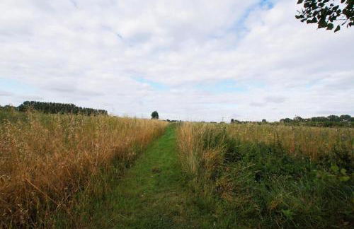 Cozy cottage overlooking fields, Upwell - Foto 4