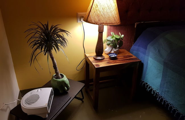 Koko's Farm - Foto 2