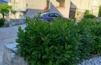 House Pierro - Photo 23