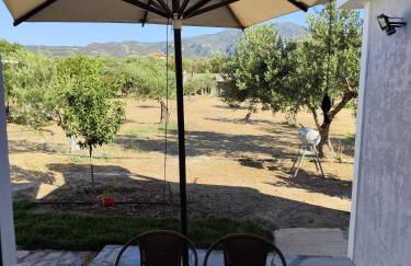 Grey house - Foto 19