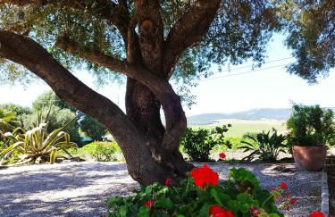 Vivienda Rural Los Madroños - Foto 22