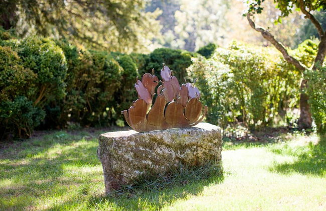 Pazo De Brandeso & Country Club - Foto 46