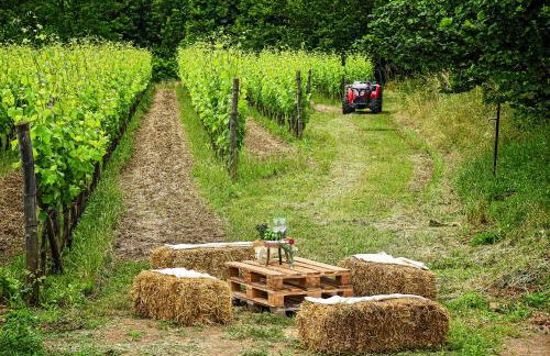 Agriturismo Guerritore - Foto 3