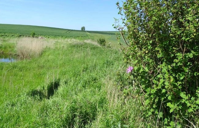 Charming Fisherman's Cottage - By Traum Ferienwohnungen - Foto 8