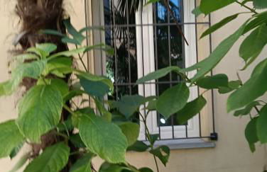 Lake Como PORTO VECCHIO - Charming Lakefront Apartment in the Heart of Domaso - Foto 27